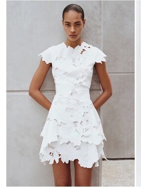 Holloway Embroidered Mini Dress Simkhai 0